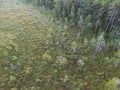 A man with a husky dog Ã¢â¬â¹Ã¢â¬â¹walks in nature in the Seli swamp, view from a drone